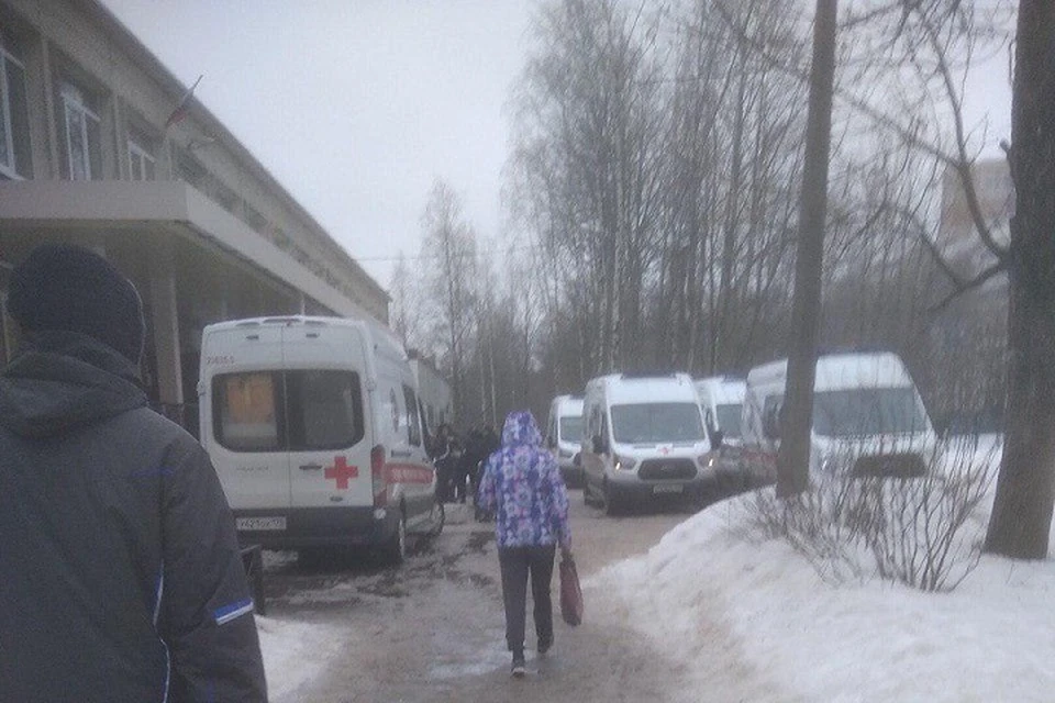 К 72-й школе Калининского района днем съехались машины скорой помощи. Фото: vk.com/spb_today