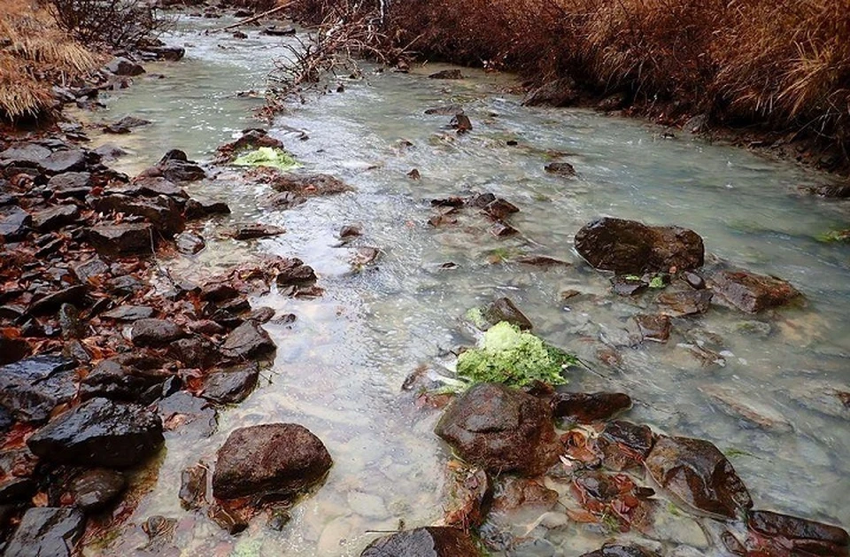 По течению рек в заповеднике скапливается химическая пена. Фото: Константин Возьмитель