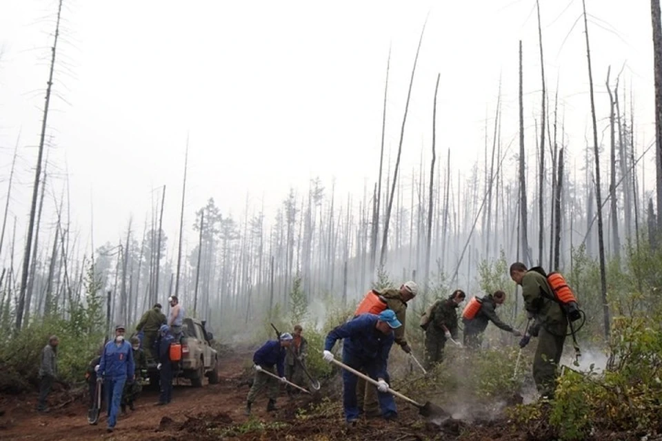 Лесные пожары в Иркутской области начнутся раньше срока из-за аномально теплой весны.