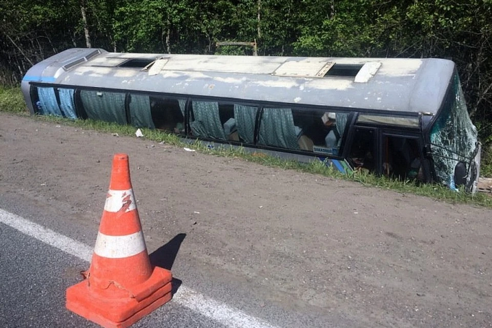ДТП с участием экскурсионного автобуса произошло в Псковской области 22 мая 2018 года - водитель потерял сознание, пострадали 22 школьника. Фото: пресс-служба УМВД России по региону.