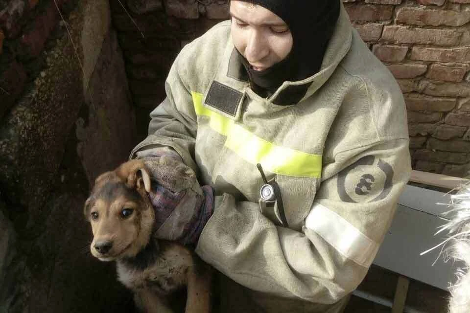 Спасатели выручили щенка