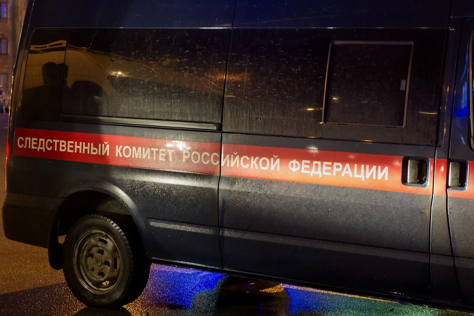 Следователи выясняют все детали улучившегося в отделении полиции на улице Инженерной в Пскове.