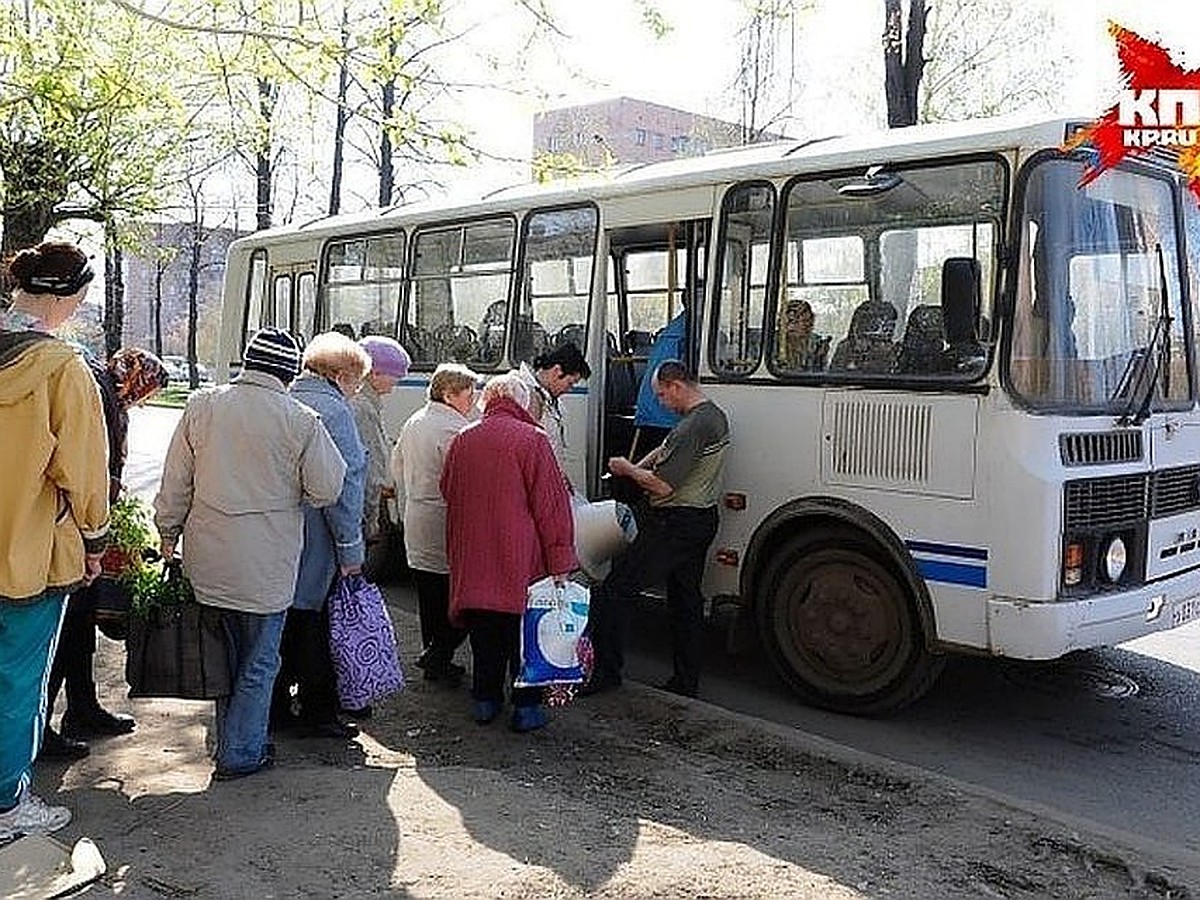 Дачные автобусы в Самаре: расписание на сезон 2019, цена билета, место  отправления - KP.RU