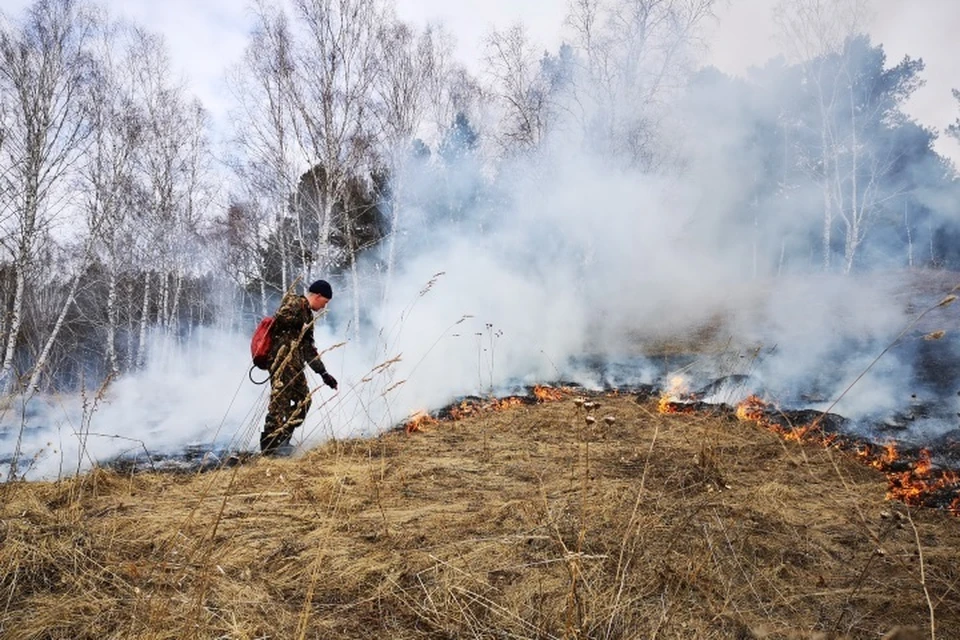 Первый лесной пожар произошел в Юргинском районе. ФОТО: администрация Кемеровской области.