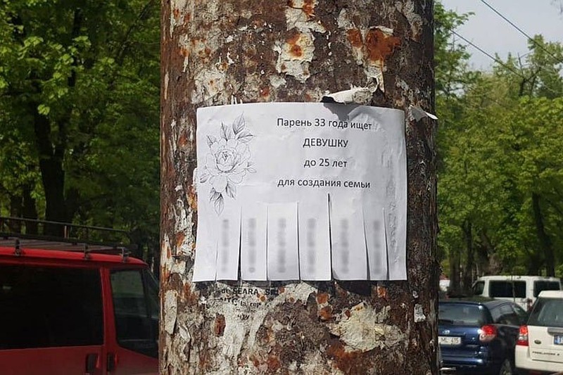 Кто еще в 2019 году расклеивает объявления о знакомстве и женитьбе на столбах?