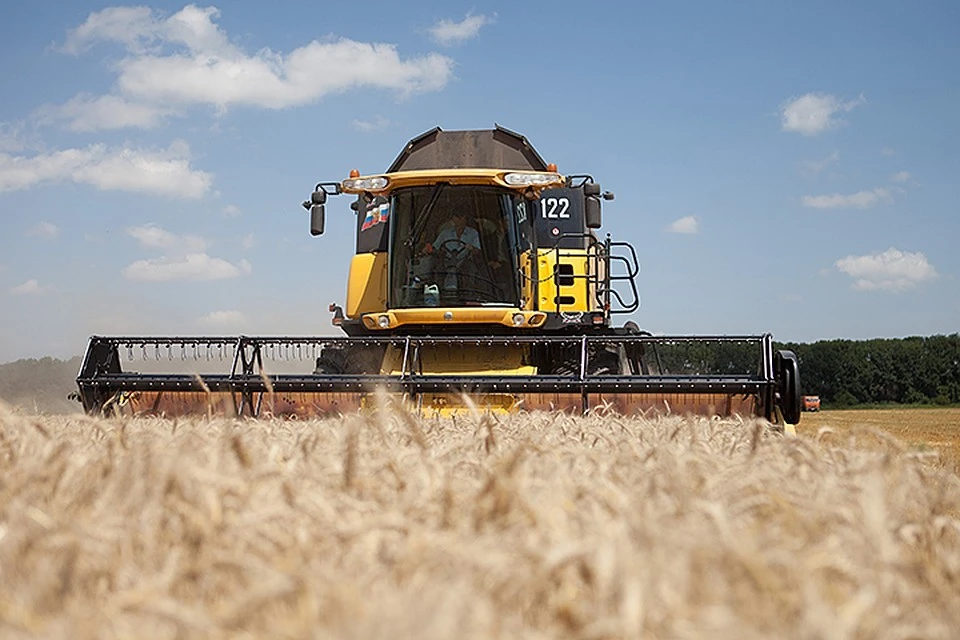 Россия в новом сезоне сможет поставить на мировые рынки 36 миллионов тонн пшеницы