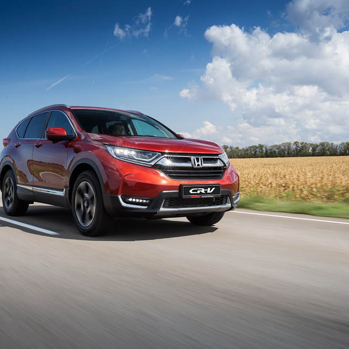 В Сочи с семьей: захватывающее путешествие на HONDA CR-V - KP.RU