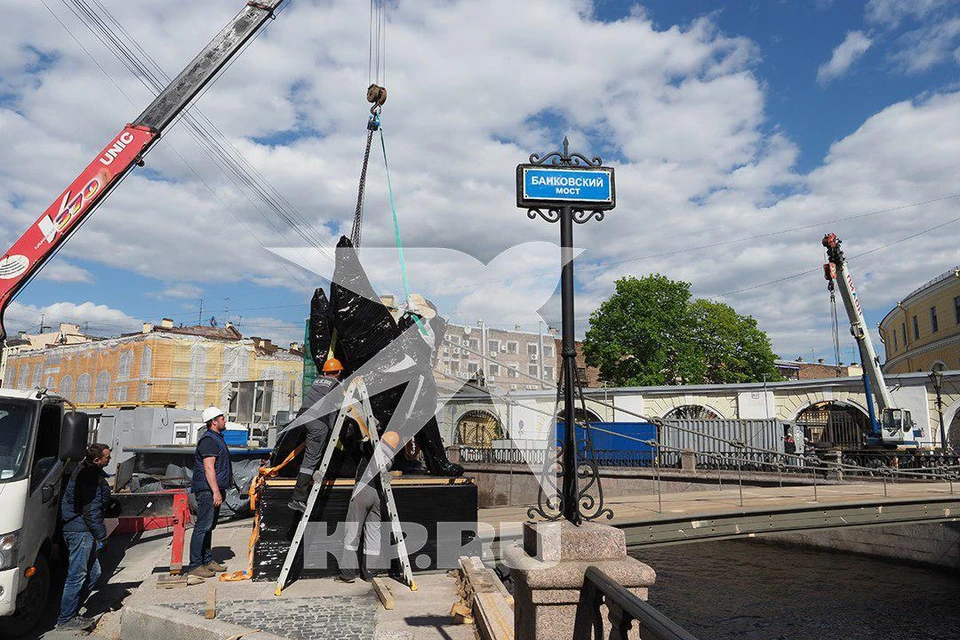 Грифоны вернулись на Банковский мост в Петербурге