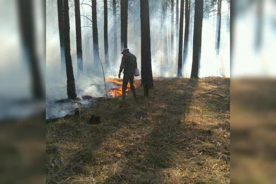 Лесной пожар возле садоводства «Энергия» остановили под Иркутском. Фото: группа ДТП38RUS.