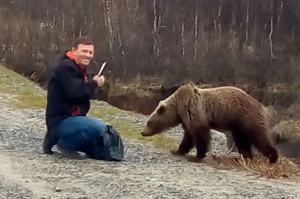 Игорь рискнул дать медведю куриную кожу прямо с руки. Фото: Светлана Сандырева
