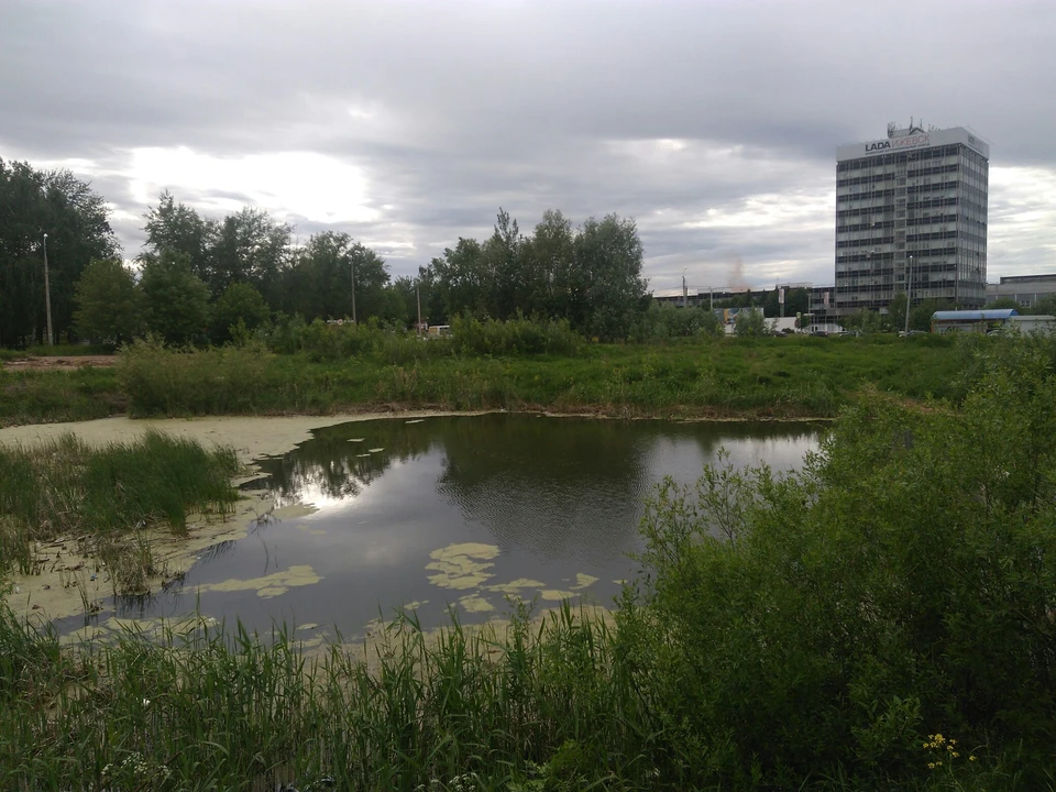 Что будет с прудом на улице Автозаводской в Ижевске?