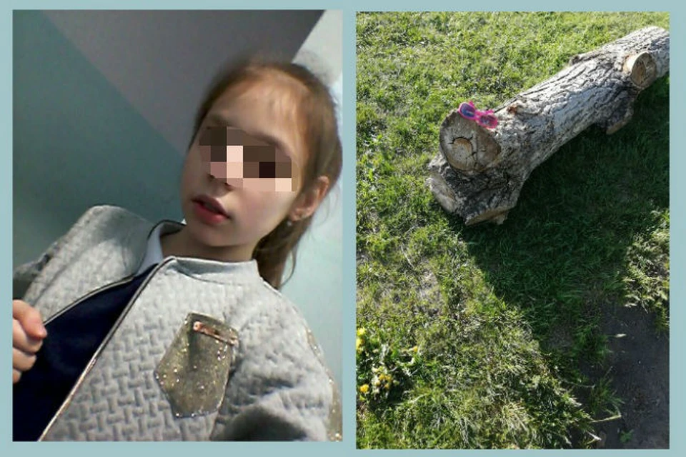 На озере в Красноярском крае погибла 10-летняя девочка. Фото: Поиск пропавших детей - Красноярск.