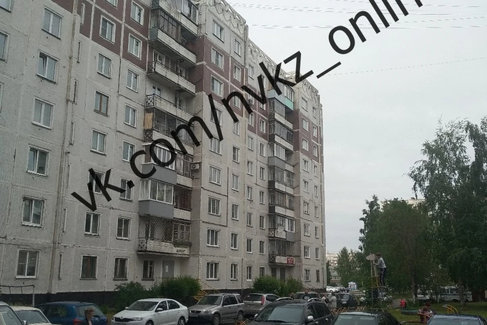 Жительница Новокузнецка сбросила собаку с восьмого этажа.ФОТО: vk.com, "Новокузнецк онлайн"