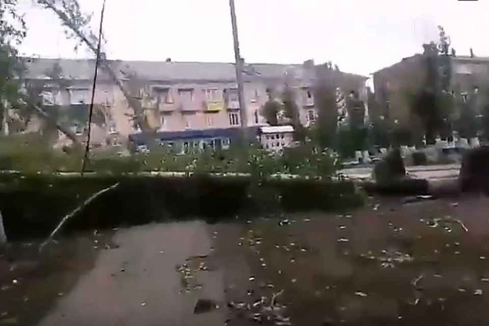 Вырвал с корнем: сильный ветер повалил деревья в парке Победы в Саянске. Фото: предоставлено.