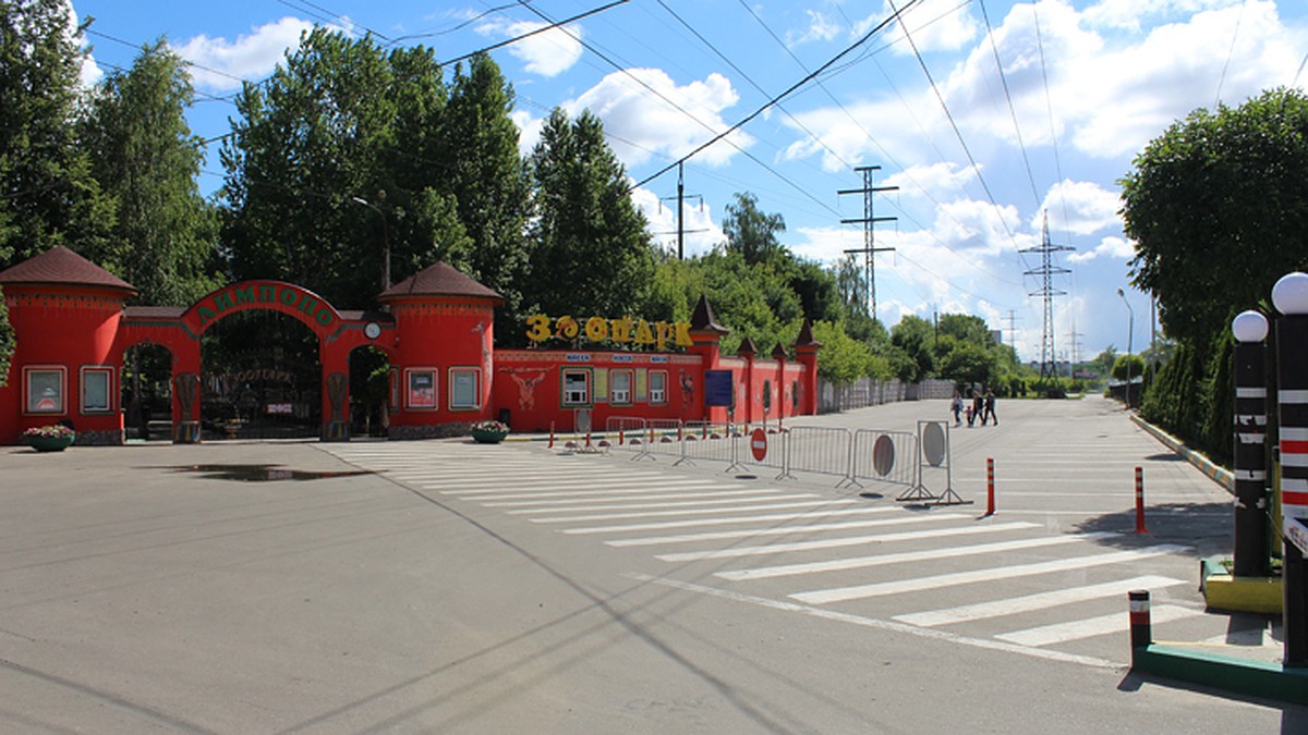 На людей им плевать»: Возле зоопарка «Лимпопо» закрыли парковку - KP.RU