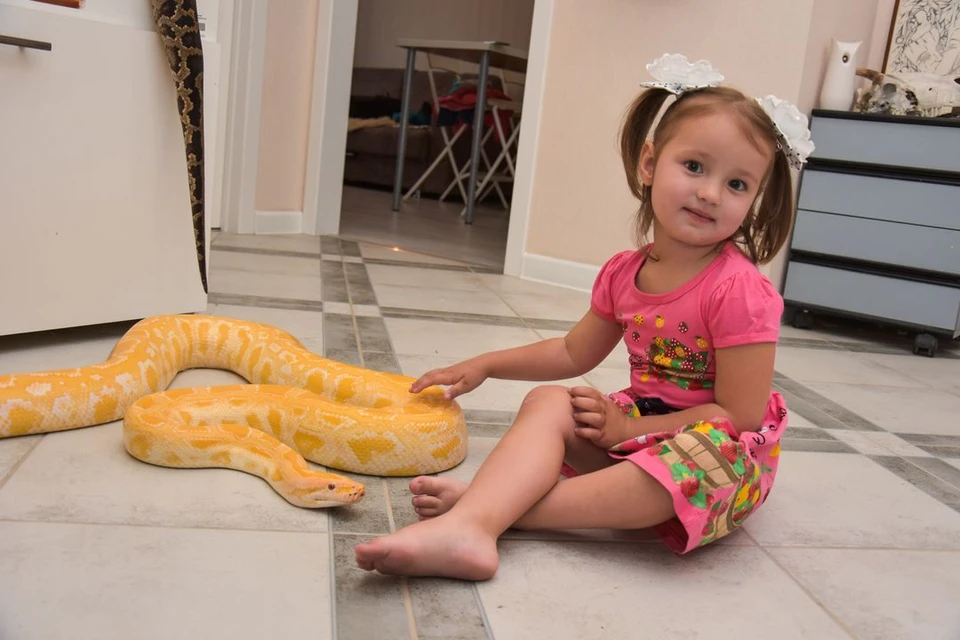 Маленькая девочка больших змей не боится.