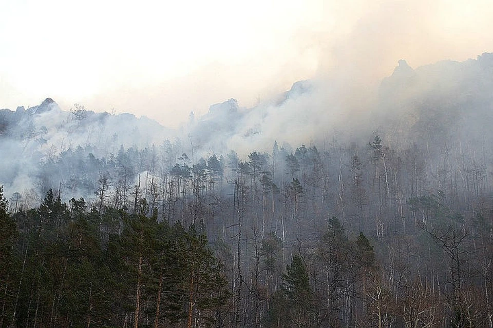 Лесные пожары в Иркутской области: горит 217 тысяч гектаров тайги