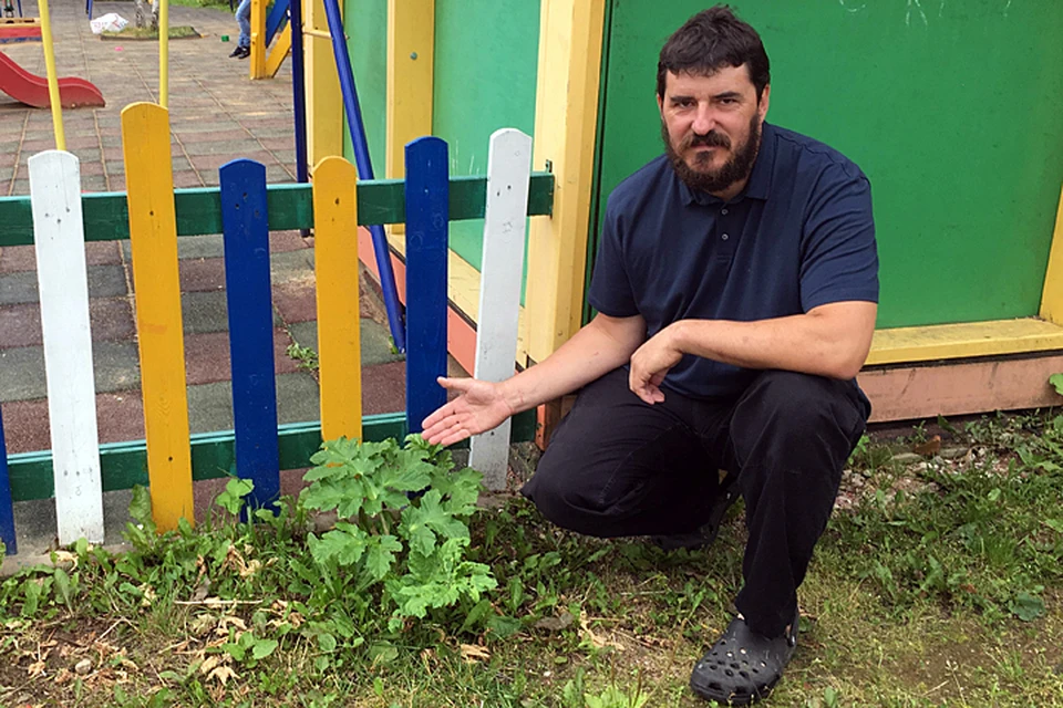 Денис Поляков - ярый борец с сорняком
