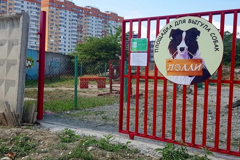 ФОТО: Олег КАРАЦУБА