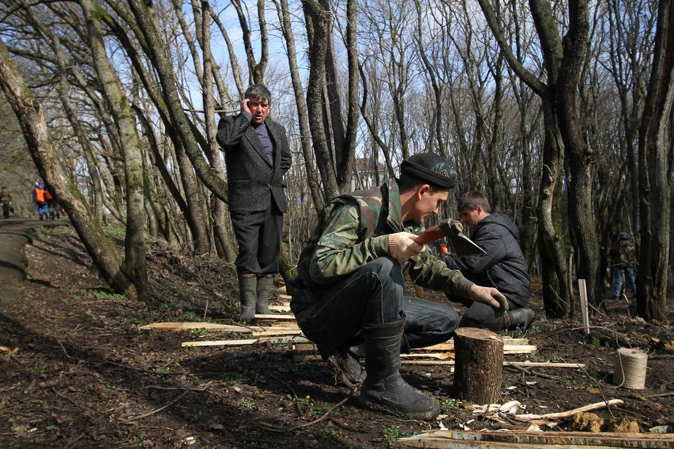 Сейчас в очереди на получение древесины во Владимирской области стоят 6 тысяч человек