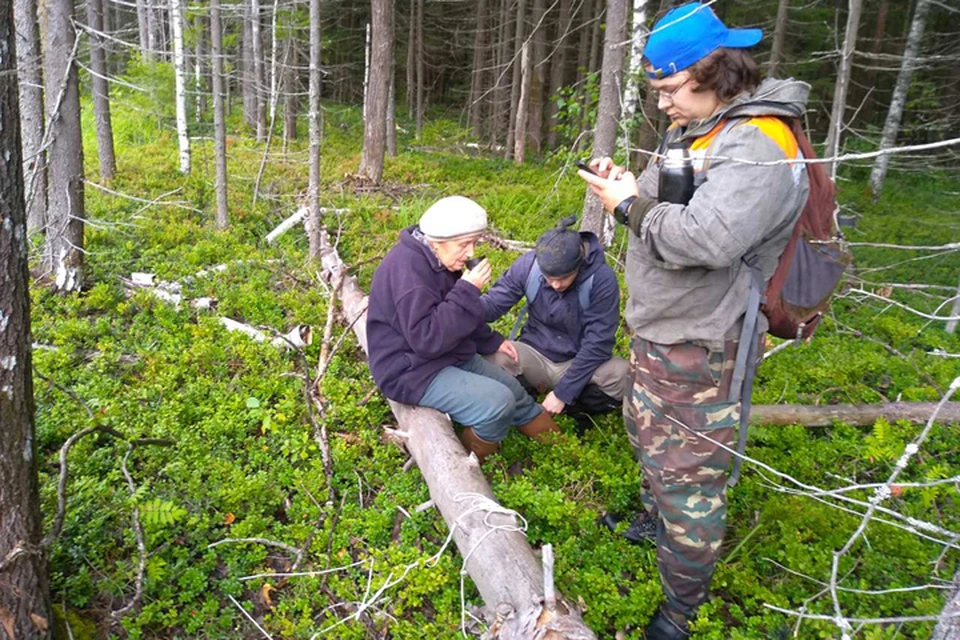 Три дня 74-летняя бабушка блуждала одна в лесу. Фото: ПСО "Волонтер"