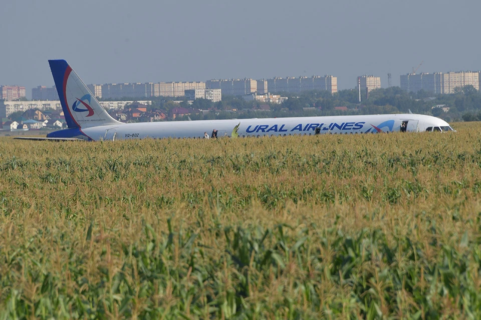 Самолёт А321 «Уральских авиалиний» вынужденно приземлился в кукурузное поле - недалеко от подмосковной деревни Рыбаки.