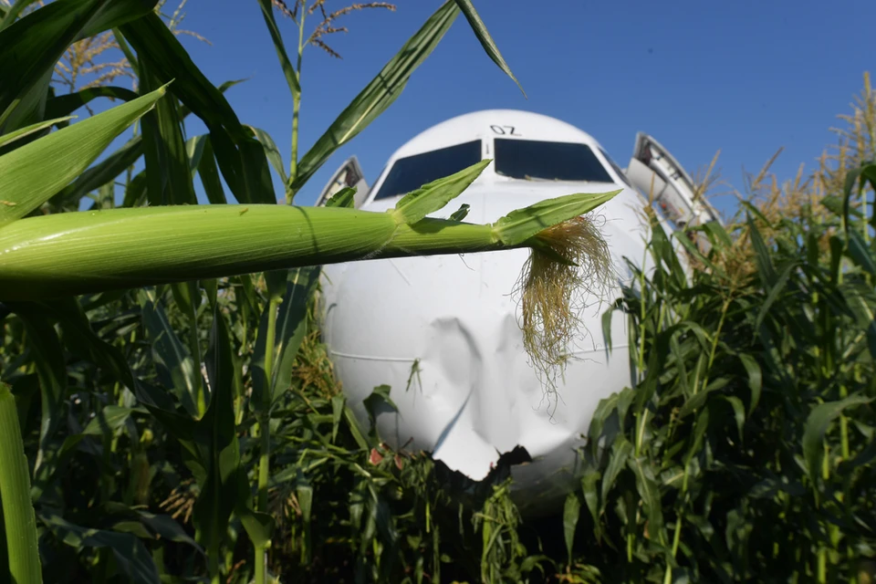 Самолет "Москва - Симферополь" совершил посадку на кукурузное поле.