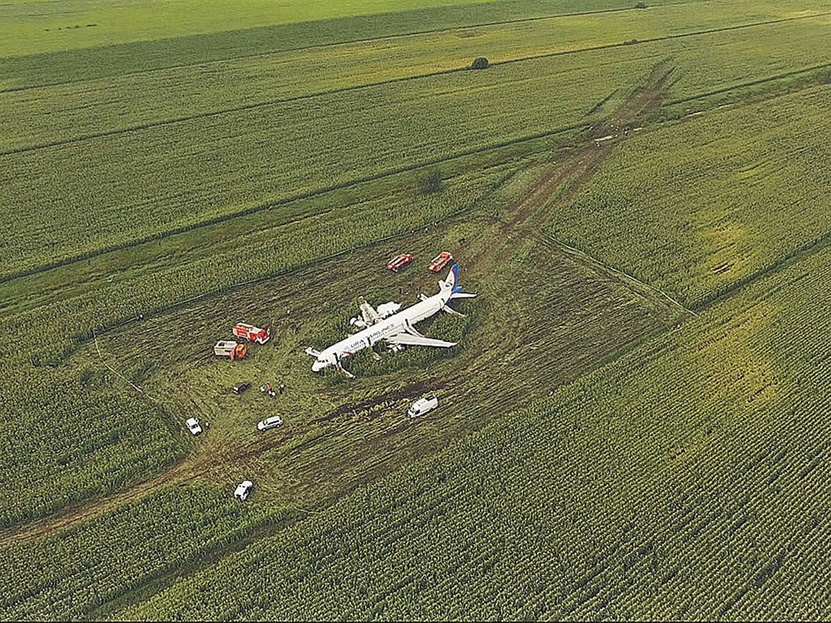 Экипаж А-321, аварийно севший на кукурузное поле в Подмосковье: Юрист,  потомственный летчик и 