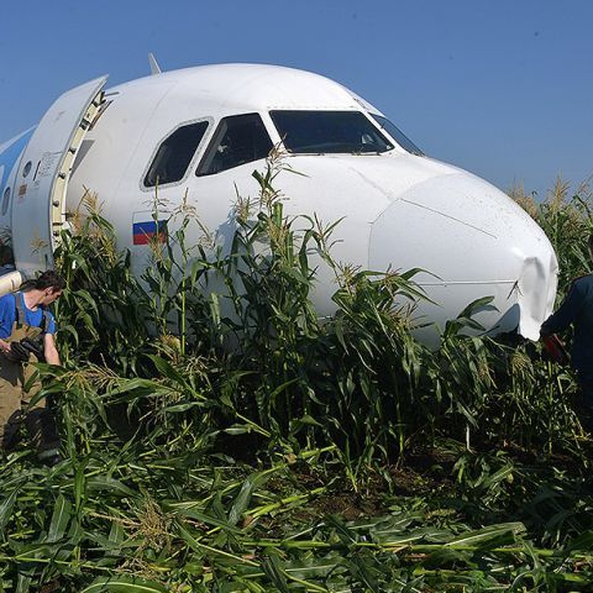 Руководство «Уральских авиалиний» рассказало, благодаря чему пилоты смогли  вручную посадить самолет на кукурузное поле - KP.RU