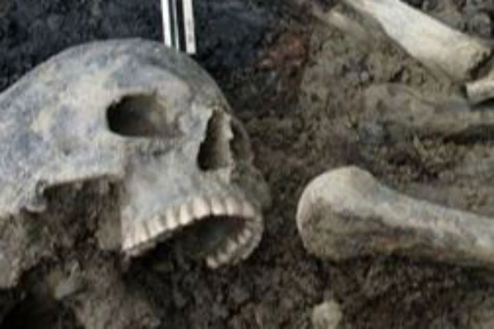 Ученые нашли в Ярославле массовое захоронение 1238 года. Фото: archaeolog.ru