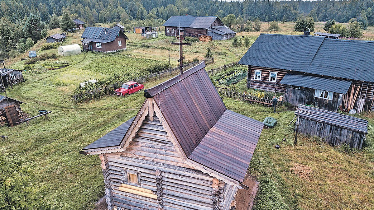 Как горожанину переселиться в деревню и не пожалеть об этом - KP.RU