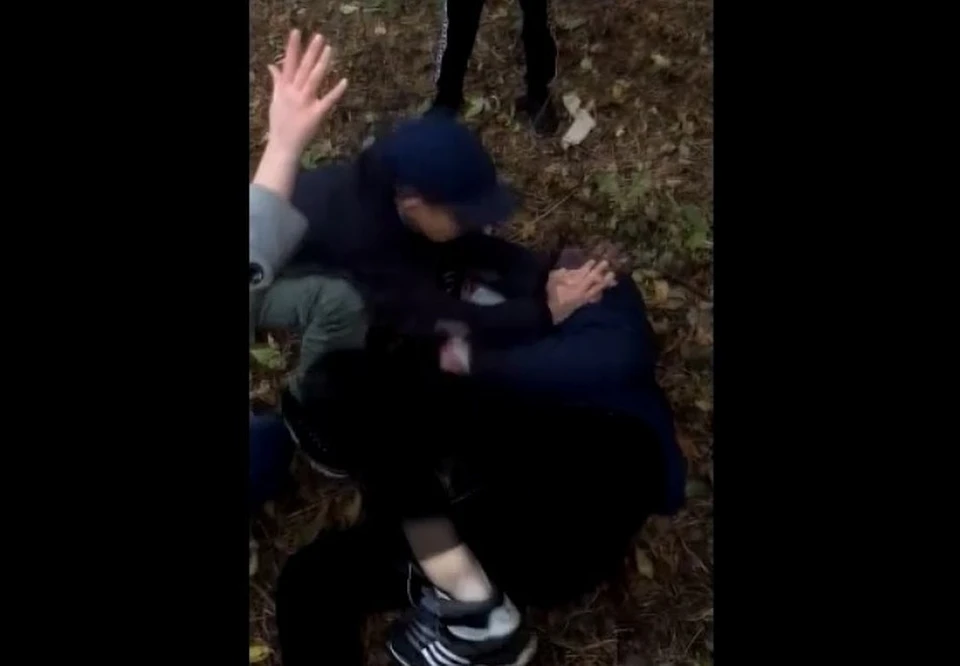 Видео избиения девочки сверстниками попало в соцсети