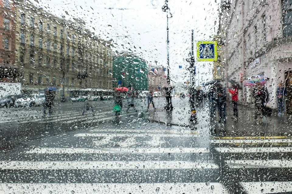 Ноябрь в Петербурге может порадовать теплой погодой.