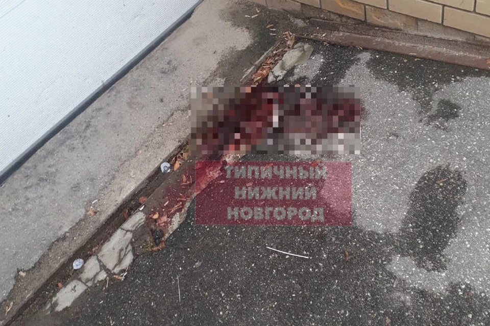 Девятиклассник погиб в Нижнем Новгороде, выпав из окна третьего этажа. ФОТО: Типичный Нижний.