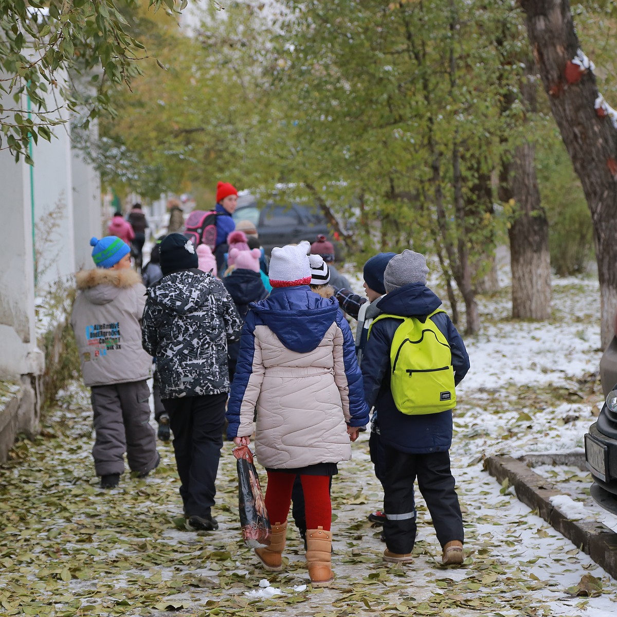 Опасная дорога к знаниям: воронежские дети ходят в школу мимо гаражей,  кустов и подворотен - KP.RU