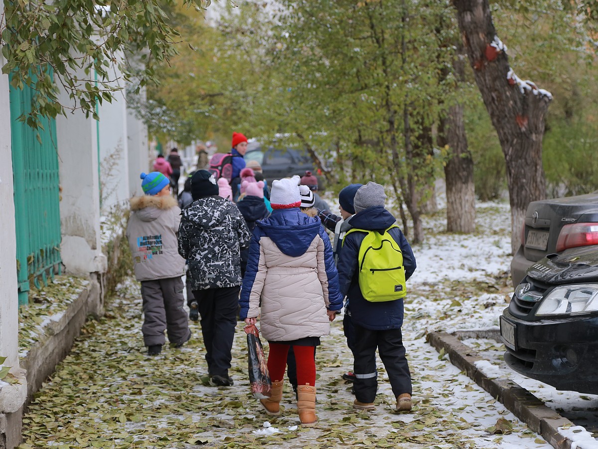 Опасная дорога к знаниям: воронежские дети ходят в школу мимо гаражей,  кустов и подворотен - KP.RU