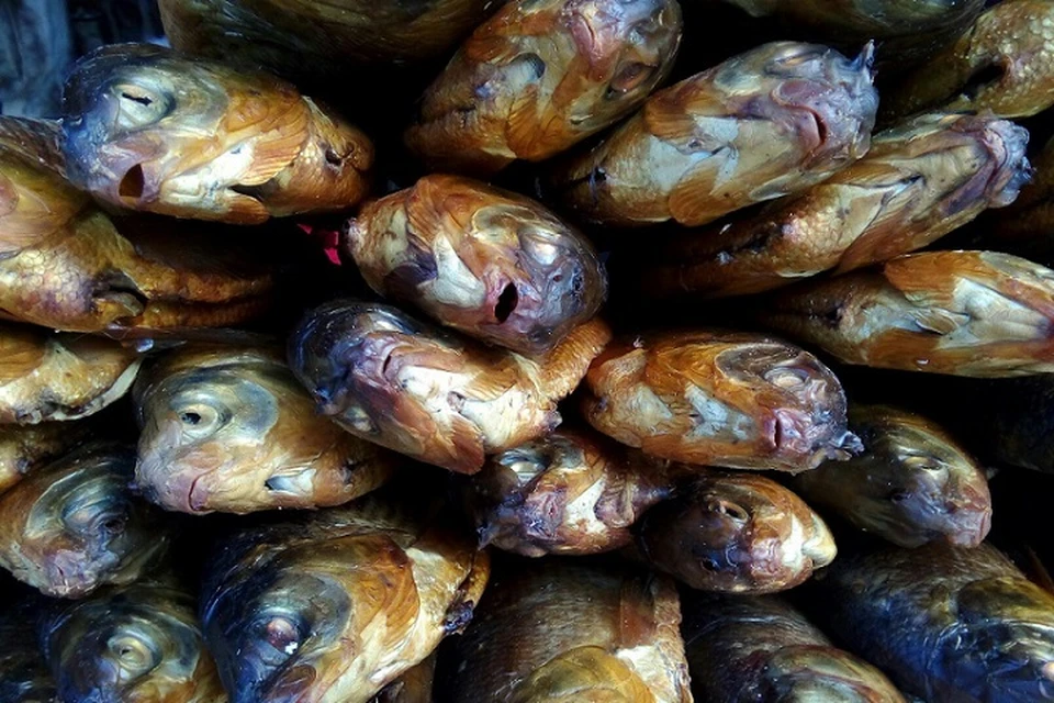 В Тюменской области усомнились в диагнозе «гаффская болезнь», которую поставили тоболякам после употребления рыбы