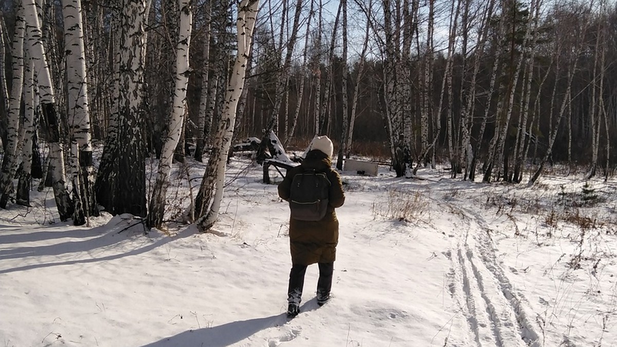 Он не прятался, но словно растворился»: в Челябинске волонтеры продолжают  поиски Льва Холодилина - KP.RU