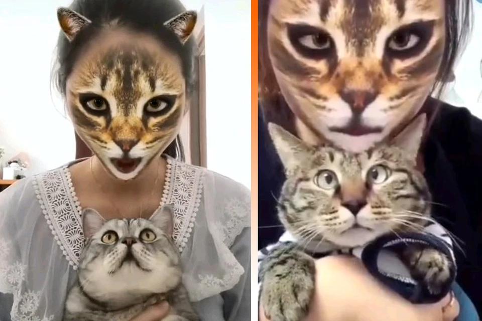Новый фильтр для TikTok набирает популярность среди владельцев котиков.