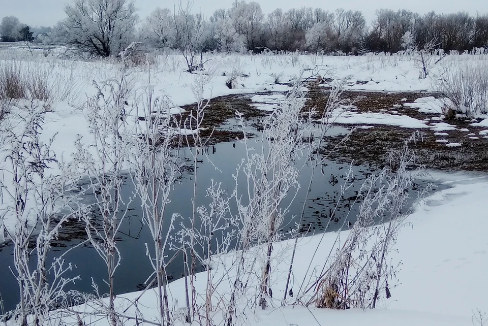 МЧС предупреждает: на реках Липецка и области начался ледостав