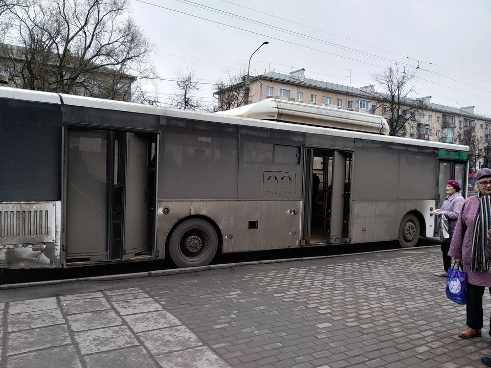 То есть большая часть владимирцев хочет ездить на автобусах и троллейбусах