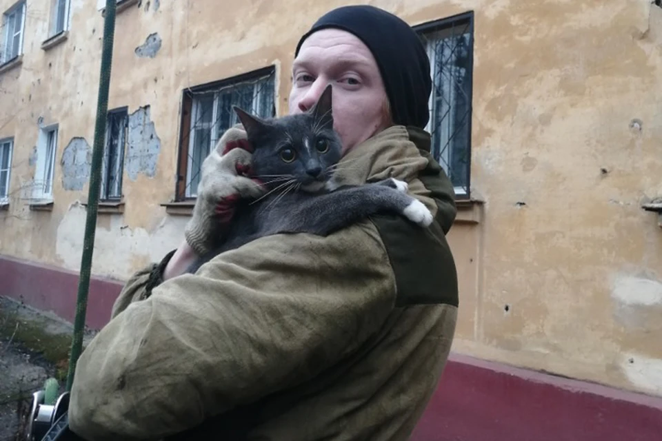 «Как тот солдат»: Спасая кота-верхолаза, нижегородец сам застрял на дереве. ФОТО: Лариса Саплина.