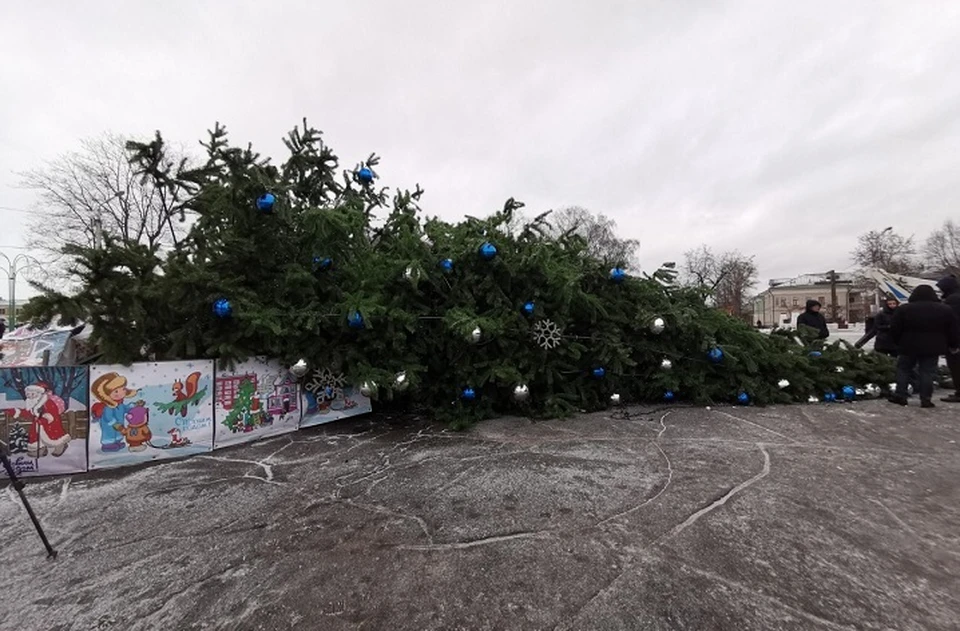 Главная елка города рухнула на центральной площади Вологды. Страница Сергея Воропанова "ВКонтакте".