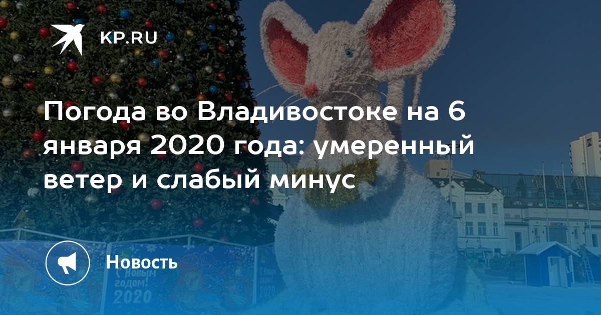 Примпогода владивосток на неделю