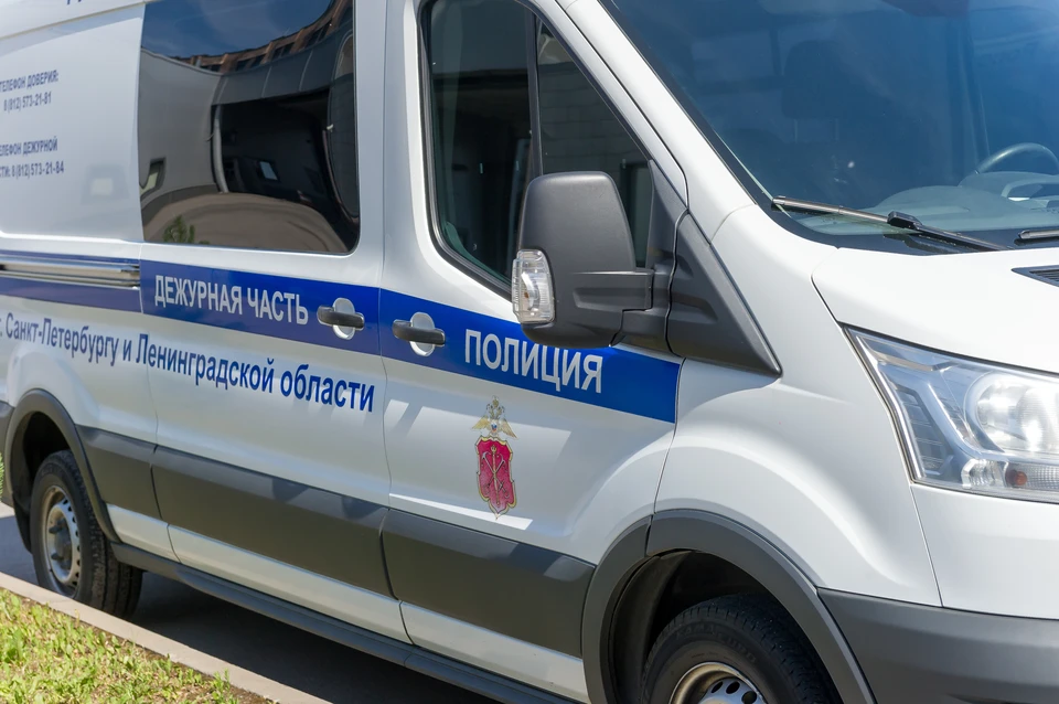 Полиция устанавливает причины гибели матери и сына из Соснового Бора.