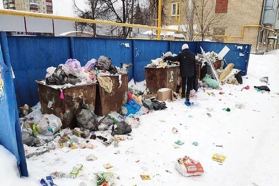 Фото: соцсети