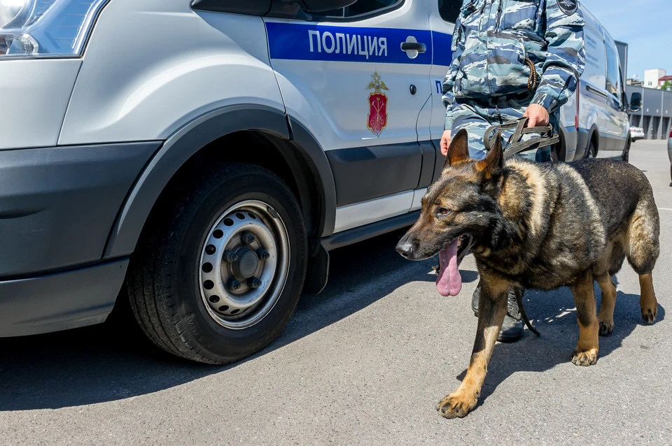 Полиция ищет мужчину, который пытался украсть школьницу в Новой Ладоге.