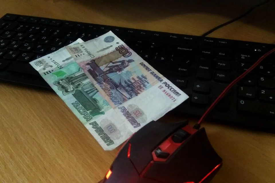 Липчанка лишилась денег, купив дубленку по интернету