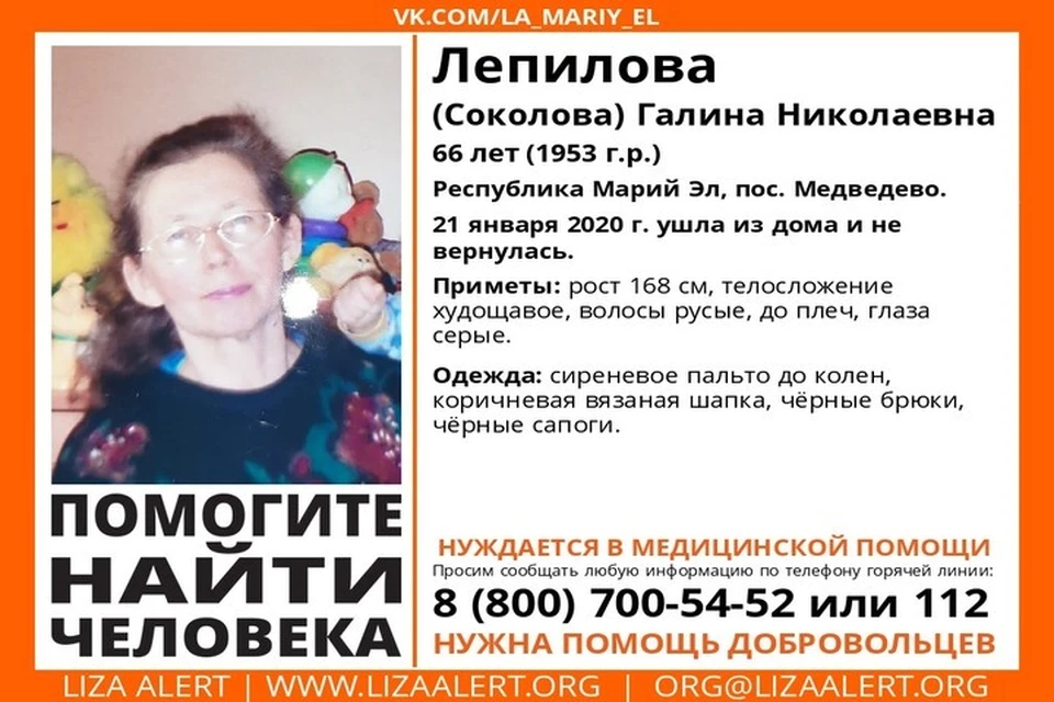 Фото: ПСО "Лиза Алерт"