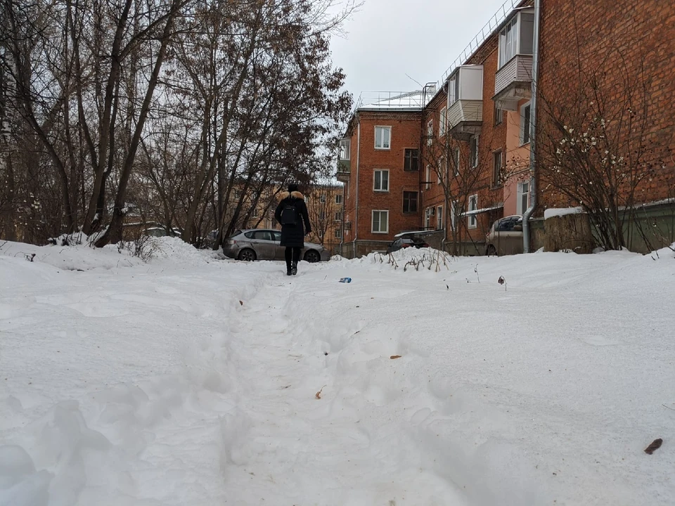 Фото: Алексей ФОКИН